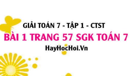 Giải bài 1 trang 57 Toán 7 Tập 1 SGK Chân trời sáng tạo